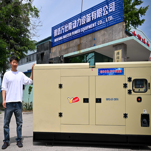 Trung Quốc Nhà Máy Giá thấp 30Kw 37.5kva Ricardo im lặng ngoài trời Máy phát điện diesel để bán - Product Image 2