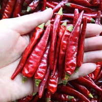 Vente de gros Piment rouge de Cayenne séché entier naturel pour la cuisine
