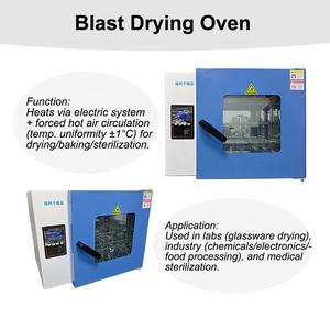 Forno de secagem elétrico do sopro do laboratório de ZC ZC-KX70 300 com câmara de aço inoxidável 70L do aquecimento rápido - Product Image 2