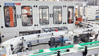 Machine d'emballage de paquets de mouchoirs faciaux multicouches ZD-C40D Machine de fabrication de mouchoirs