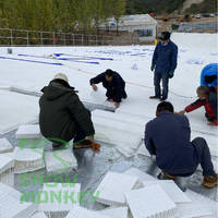 SNOW MONKEY Vente chaude Tapis de ski artificiel de haute qualité pour piste de ski sèche Surface de ski artificielle Tapis de neige
