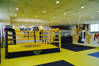 Bague de boxe Standard, avec toile robuste, poste de bonne qualité, compétition, 1 pièce