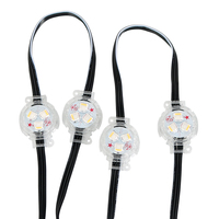 SHIJI moderno impermeable al aire libre 30mm LED punto fuente de luz SMD5050 RGB 24V LED Pixel luz para el hogar