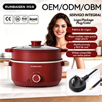 Marmite électrique multifonctionnelle 220V 3L 800W, 24cm antiadhésive tout-en-un pour la famille, couleur et logo personnalisables