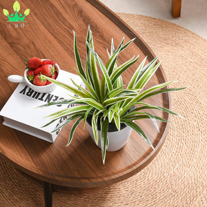 <strong>Artificial</strong> <strong>Spider</strong> <strong>Plant</strong> Greenery Realistic Chlorophytum <strong>Plants</strong> Indoor Home Shelf Office Decoration Faux Curly <strong>Spider</strong> <strong>Plants</strong> - Product Image 2