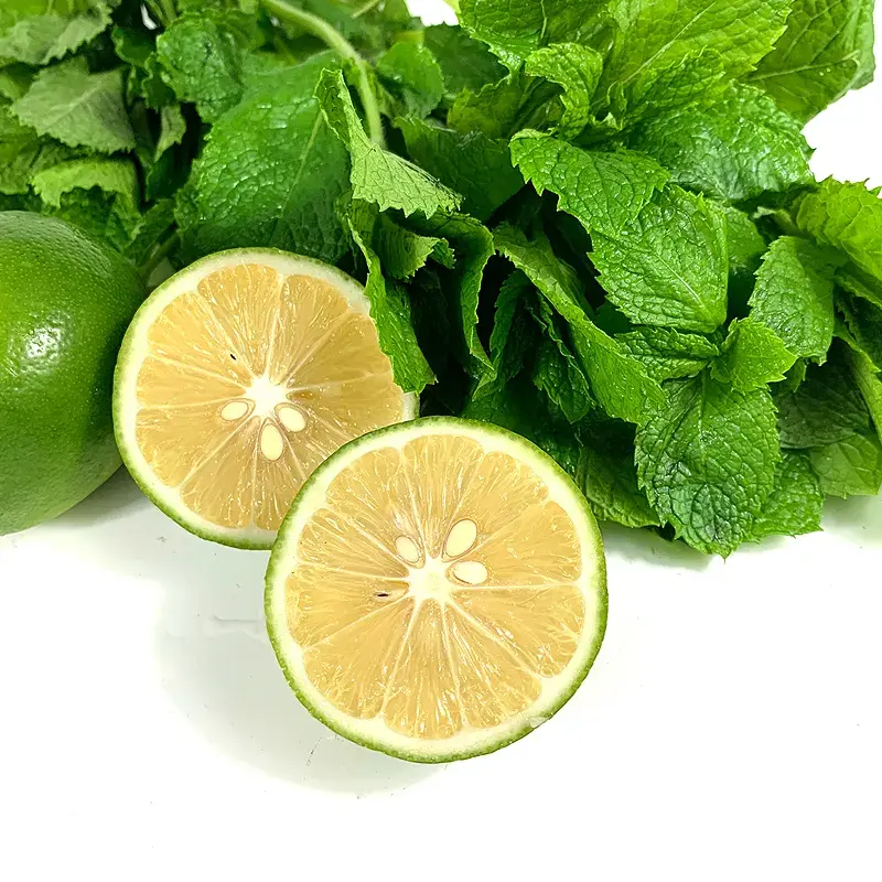 Limon nane aroması parfüm yağı parfüm gıda sınıfı sıvı lezzet yağı üzerinde limon nane özü lezzet konsantre