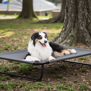 Erhöhtes Hunde bett im Freien für große Hunde, die angehobene, rutsch feste Füße kühlen - Product Image 1