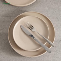 Assiettes en Grès Céramique en Gros, Bord Vertical Japonais Noir, Blanc, Rouge et Beige avec Fini Poli pour Restaurants et Hôtels – Plateaux de Service