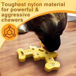 Özel peynir lezzet köpek çiğnemek kemik dayanıklı yıkılmaz naylon köpek oyuncaklar agresif <span class=keywords><strong>Chewers</strong></span> için günlük kullanım için Modern tarzı - Product Image 4