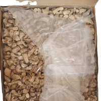 Detan pieds de Shiitake de Champignon d'usine de haute qualité/pieds de Lentinus Edodes/pieds de Champignon cuisse de Champignon 3-6cm