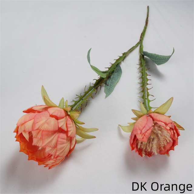 DK Orange