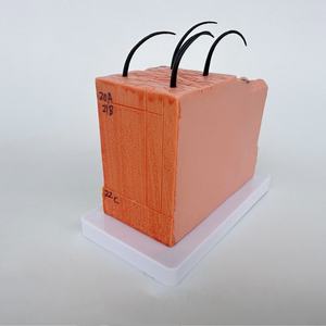 Maniquí de Piel Humana de Alta Calidad, 30 Veces el Tamaño Real, con PVC Avanzado para Salones de Belleza y Escuelas de Medicina - Product Image 3