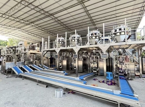 เครื่องบรรจุภัณฑ์สูญญากาศอเนกประสงค์แบบตั้ง สำหรับน้ำตาล 1 กก. เนื้อแห้งอุตสาหกรรม กาแฟ ข้าวโพดคั่ว รูปทรงอิฐ - Product Image 4