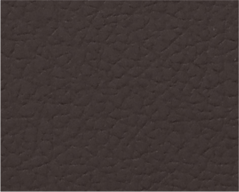 MB-09 Seal Brown 19-1314 TPG