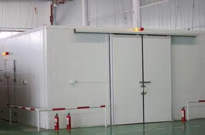 Contenedor de Almacenamiento en Frío de 20 pies/40 pies con Unidad de Refrigeración de 220v para Uso Doméstico, Cámara Frigorífica para Carne y Pescado - Product Image 6