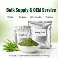 Poudre d'herbe d'orge biologique USDA UE HALAL et poudre de jus d'herbe d'orge 200-1000 Mesh, soluble dans l'eau, qualité alimentaire, approvisionnement en vrac