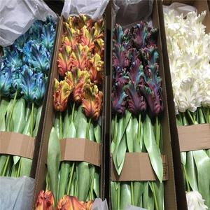 Wholesale High Quality 3D Handmade Real Feel Glue <strong>Tulips</strong> <strong>Red</strong> and Light Purple for Wedding Reception Decor - Product Image 4