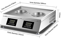 Cuiseur vapeur commercial horizontal automatique en acier inoxydable, taille intérieure 50*40, 2 trous, anti-séchage, pour Baozi