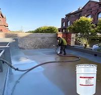 Revêtement imperméable en polyurée brossable, peinture anti-corrosion résistante à l'humidité pour sous-sol, piscine, réservoir d'eau