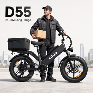 Bicicleta Eléctrica de Carga D55 48V55AH, Bicicleta Eléctrica de Reparto con Batería Grande Personalizada para Trabajo de Mensajería Durante Todo el Día - Product Image 1