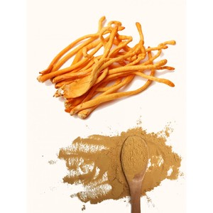 Qinshantang Estratto in Polvere di Fungo Cordyceps Militaris Biologico 1:1 <span class=keywords><strong>BETA</strong></span> D Glucano 30% - Product Image 1