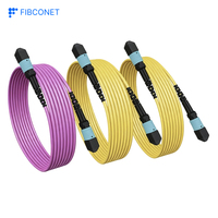 Câble Trunk Fibre Optique OS2 12 Cœurs à Faible Perte d'Insertion 0.15dB pour Centre de Données 400G 800G 2m MPO Monomode