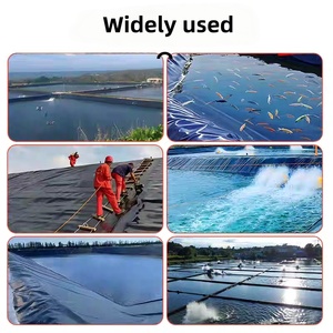 Géomembrane HDPE moderne de 0,4 mm pour revêtement de barrage, étanchéité de bassins agricoles, pisciculture, élevage de crevettes, bassin de dépose Lejing - Product Image 2