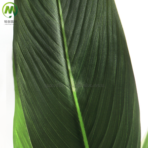 Plante artificielle d'oiseau de paradis en pot, réaliste, fausse <span class=keywords><strong>Strelitzia</strong></span> pour la décoration de la maison et des hôtels, vente en gros - Product Image 3