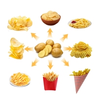 Máquina automática para hacer patatas fritas y patatas fritas KLS, rendimiento superior para una línea de procesamiento eficiente de patatas