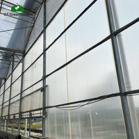 Serre en polycarbonate GT pour la construction de maisons, serre agricole en polycarbonate