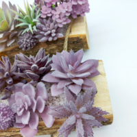Ensemble de 15 faux succulentes violettes - Plantes artificielles réalistes pour la décoration de la maison et du jardin, parfaites pour les balcons et les tables