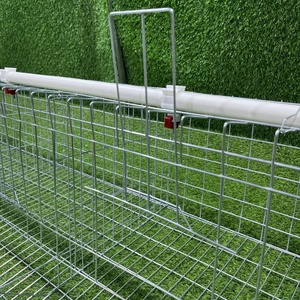 Lồng nuôi gà đẻ trứng 500 con, có hệ thống cấp nước tự động hoàn toàn - Product Image 3