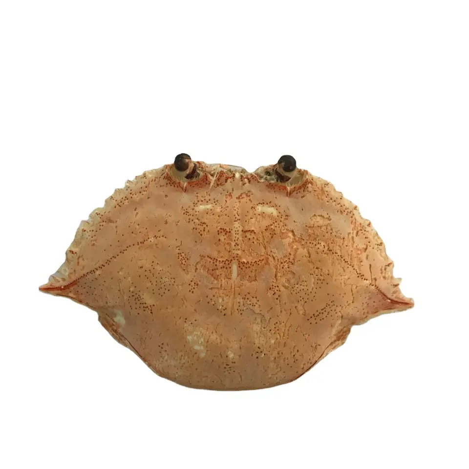 * BEST SELLER* 100% CLEAN DRIED CRAB SHELL FOR MAKING CHITIN OR CONTAIN FOOD WITH HIGH EXPORT STANDARD FROM VIETNAM 2022