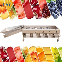 Geoptimaliseerde maat, volautomatische sorteerder voor fruit en groenten van roestvrij staal, 3-6 sorteerstanden, sorteert efficiënt mango's en dadels