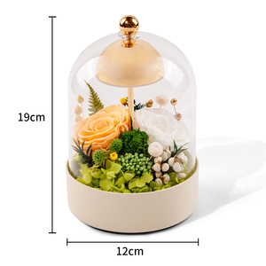 Lámpara de Noche Decorativa D431, Luz Ambiental para Dormitorio, Regalo de Cumpleaños, Navidad, Rosa Eterna en Caja de Regalo - Product Image 3
