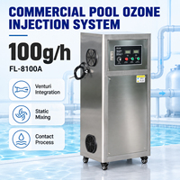 Ozongenerator mit Venturi-Injektor und Statischem Mischer für Schwimmbadwasseraufbereitung Desinfektions- und Reinigungssystem