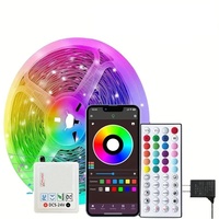 La décoration de 220V 5V a mené des lumières de bande menées imperméables à télécommande de RVB/bande légère menée