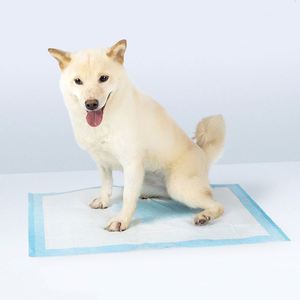 Pads d'apprentissage jetables super absorbants pour chiots et chiens, personnalisables, avec SAP, haute durabilité, imperméables, en bois, pour grossistes - Product Image 2