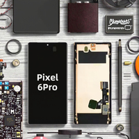Écran de Remplacement OLED Premium Haute Résolution OEM pour Google Pixel 6 Pro Durable Garantie 1 An