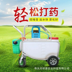 Pulverizador Eléctrico Agrícola de Alta Presión con Capacidad de 20 Kg, de Empuje Manual con Bomba para Uso Agrícola - Product Image 2
