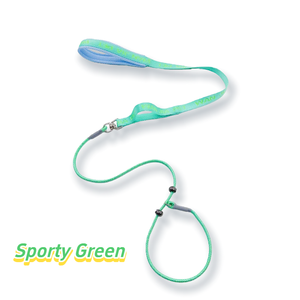 Dual-Handle PChain Short &amp; Long <strong>Leash</strong> with Dual Positioning Buckles Metal Universal Swivel Anti-Tangle Easy Control for Various - Product Image 3