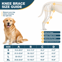 Attelle de genou pour chien FD603 avec support réglable pour luxation de la rotule canine, arthrose et blessures du ligament croisé