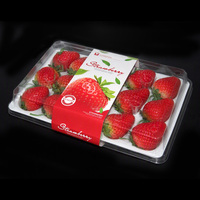 Conteneur de stockage de fraises 50 pièces, boîte d'emballage de fruits en plastique transparent pour animaux domestiques