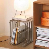 Table basse simple en acier inoxydable pour canapé, avec rangement pour livres et magazines, décoration d'appartement, meubles de restaurant