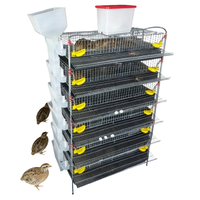 Système de cages d'élevage de cailles modulaire avec alimentation automatisée et collecte des œufs pour les fermes avicoles
