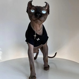Devins High-End <span class=keywords><strong>Sin</strong></span> mangas Poliéster Gato y perro Ropa <span class=keywords><strong>para</strong></span> mascotas Patrón sólido Todas las estaciones Gato Sphynx <span class=keywords><strong>sin</strong></span> <span class=keywords><strong>pelo</strong></span> - Product Image 1