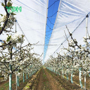 आउटडोर वर्षा बाग में वाटरप्रूफ ग्रीनहाउस फिल्म कृषि औद्योगिक हेडप पॉली प्रबलित टार्पॉलिन ड्राइंग यूव - Product Image 6