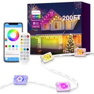 Décoration lumineuse de Noël pour entrepôt extérieur, résistante à l'eau, application de lumières LED RGB à pixels pour jardin - Product Image 1