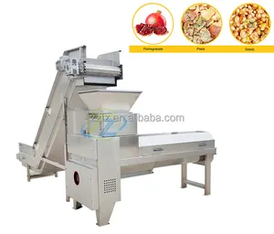 Industrial Pomegranate Peeling Pressing Seeds Separator Skin Removing Pomegranate Deseeder Machine For Juice Extractor tianze