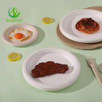 Sumkoka Assiettes de fête compostables biodégradables de 10 pouces Plateau de pâte de bagasse de canne à sucre jetable Vaisselle réutilisable et sans danger